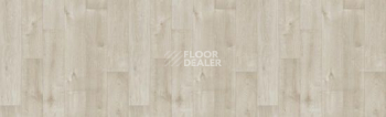 Линолеум Tarkett Bonus DUART 2 фото 1 | FLOORDEALER